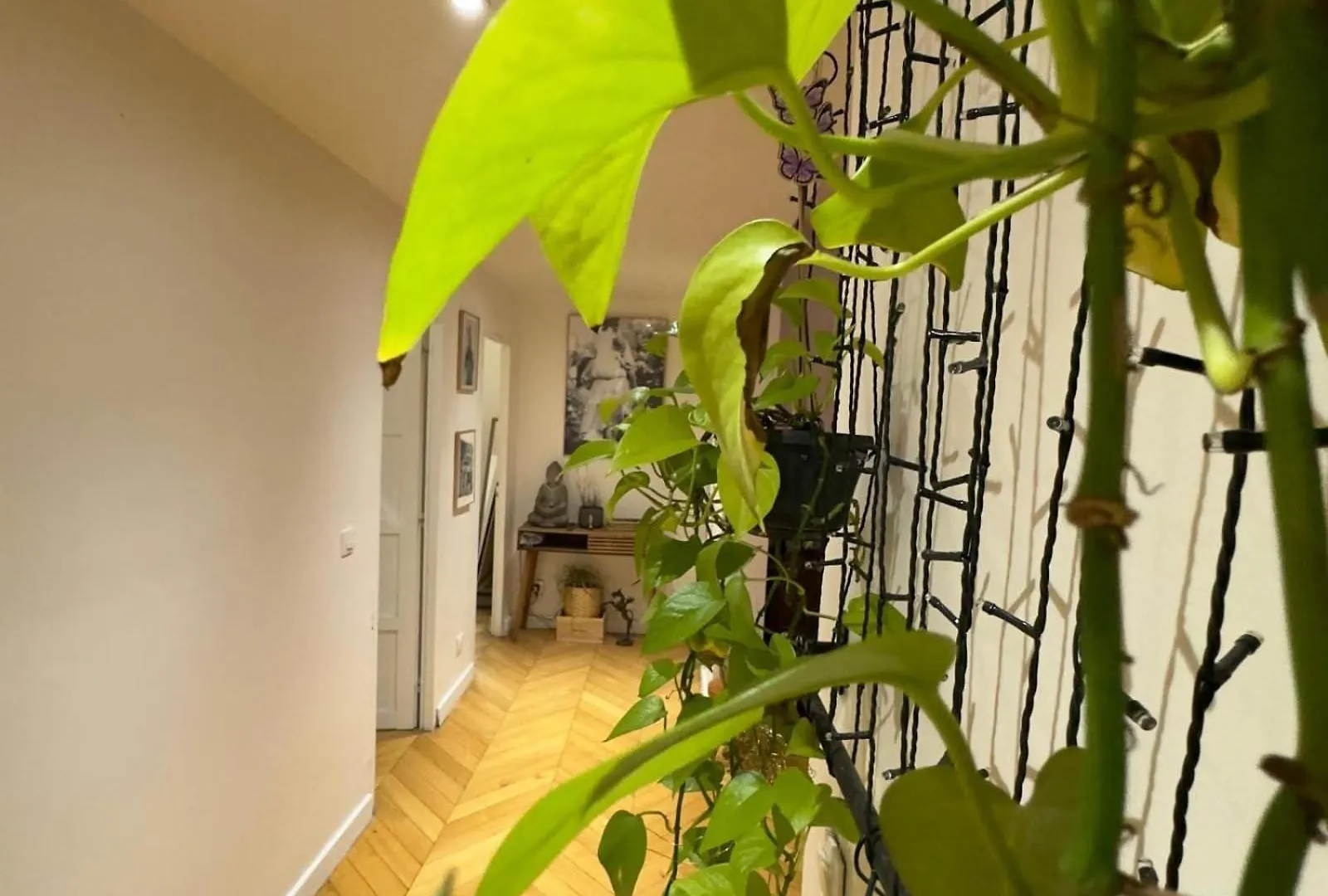Magnifique Appartement Paris 12 Francia